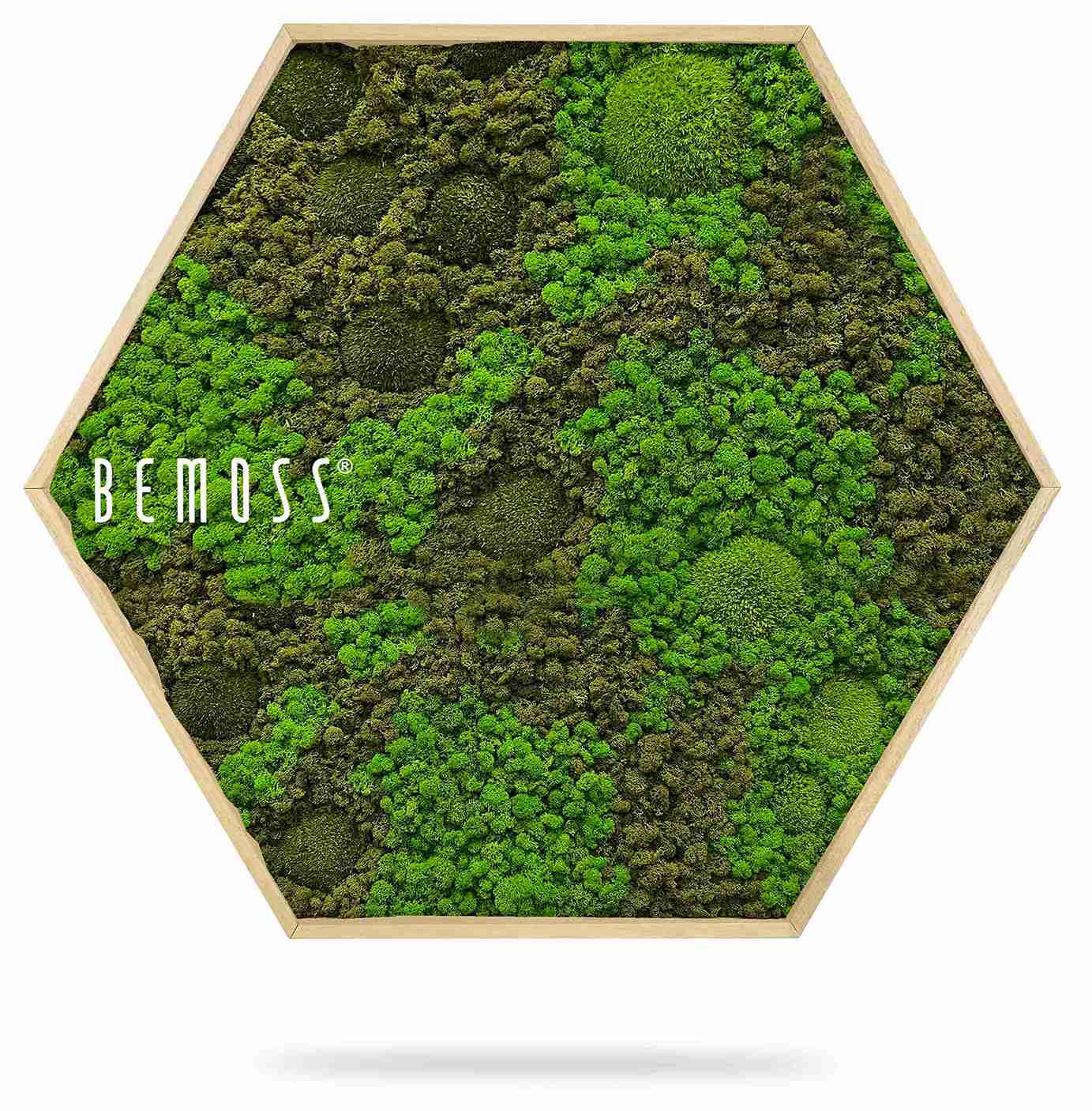 Mechový Hexagon BEMOSS® ORTHO ASEL - Obrázek 2