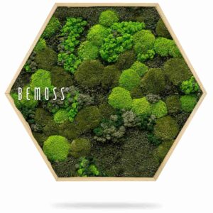 Mechový Hexagon BEMOSS® ORTHO DOVEN - Thumbnail Image 2
