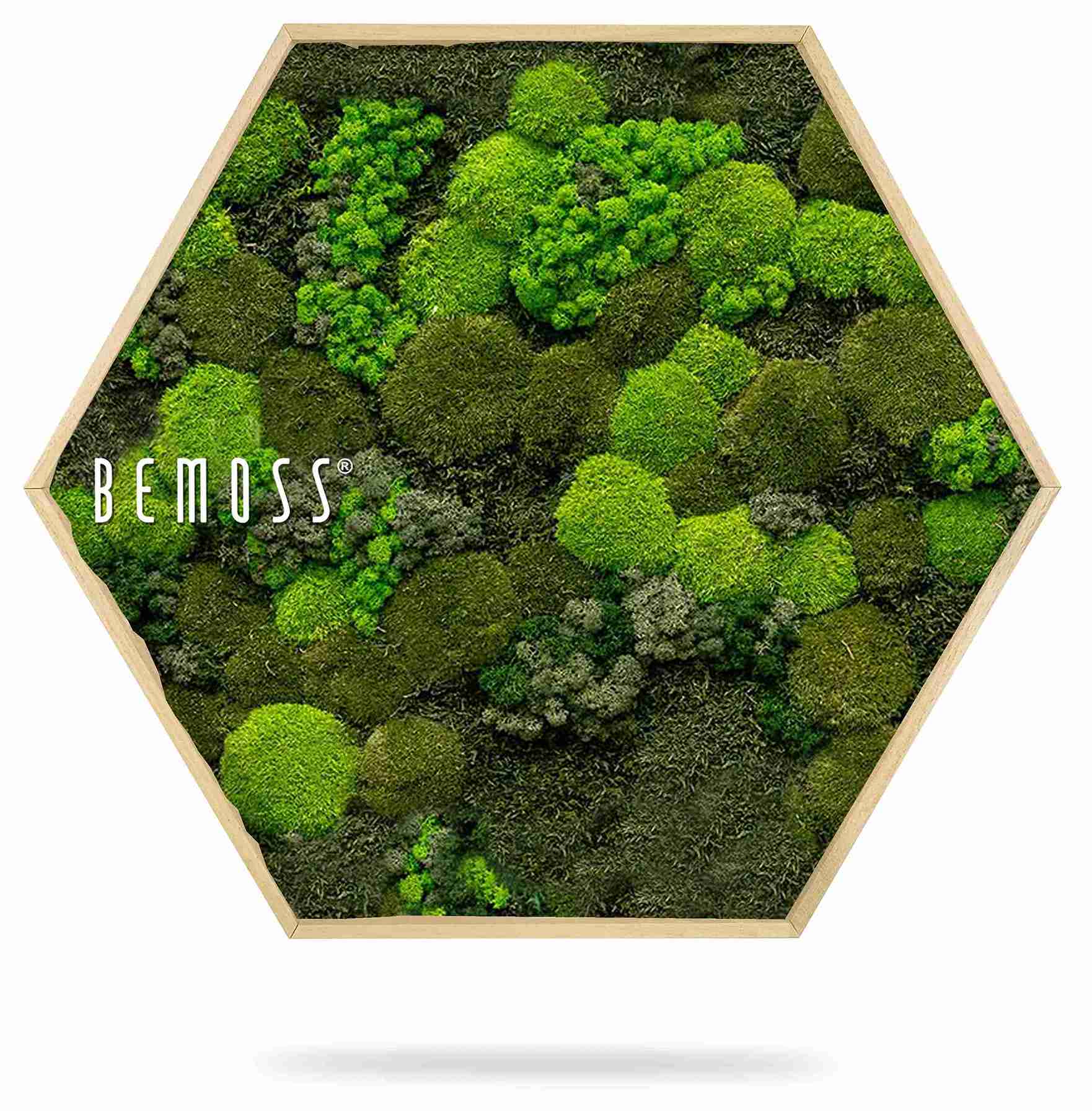 Mechový Hexagon BEMOSS® ORTHO DOVEN - Obrázek 2