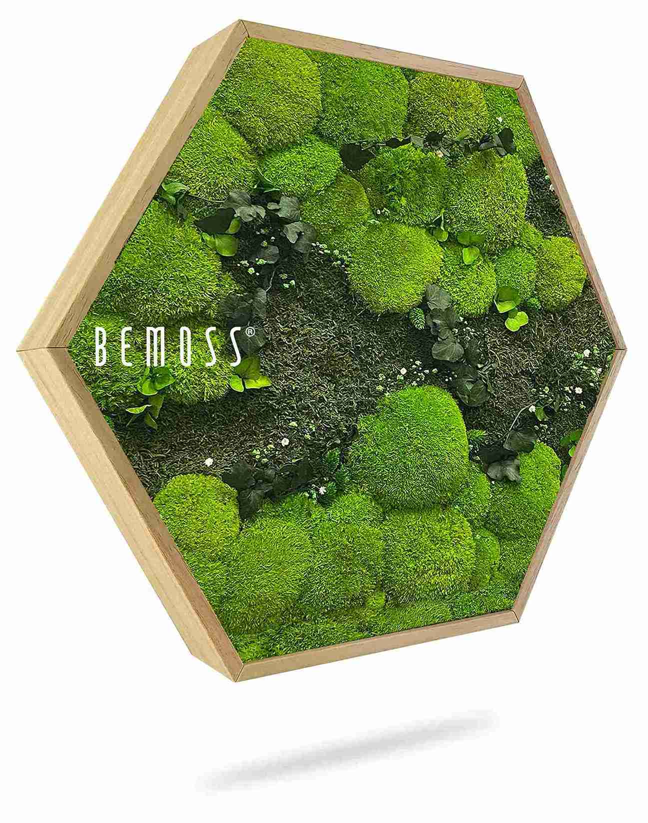 Mechový Hexagon ROSTLINY Kyrin - Obrázek 1
