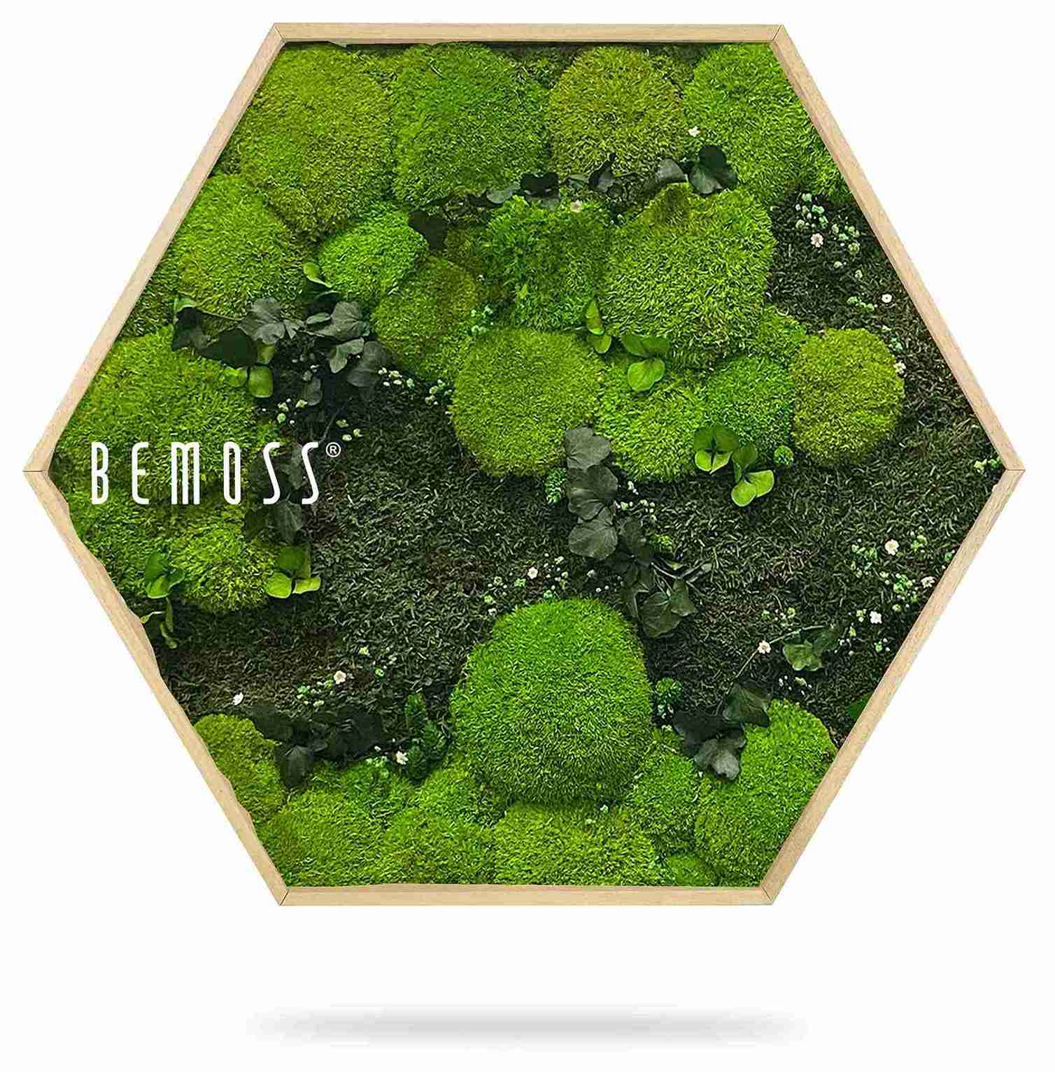 Mechový Hexagon ROSTLINY Kyrin - Obrázek 2