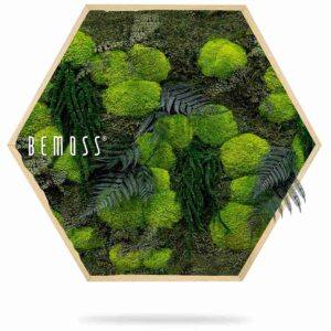 Mechový Hexagon ROSTLINY Varex - Thumbnail Image 2