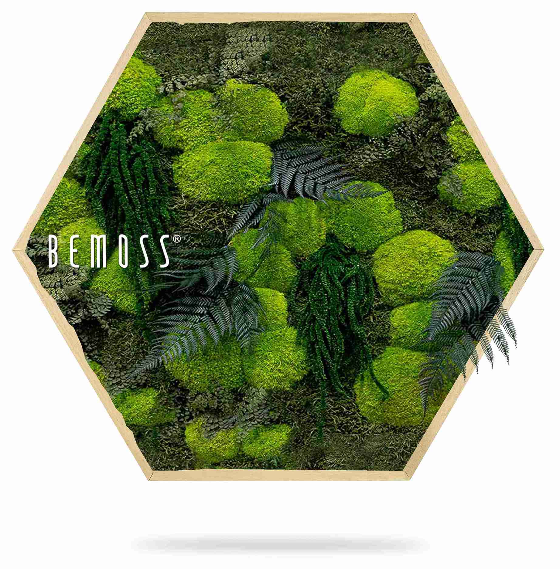 Mechový Hexagon ROSTLINY Varex - Obrázek 2