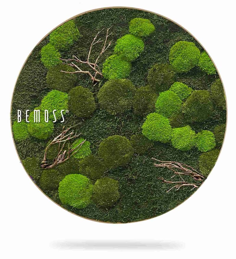 Kulatý mechový obraz FLATMOSS & BOLMOSS Doven WOOD