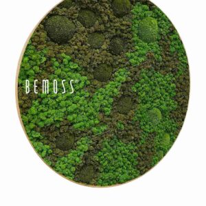 Mechový obraz kruh BEMOSS® ORTHO ASEL - Thumbnail Image 2