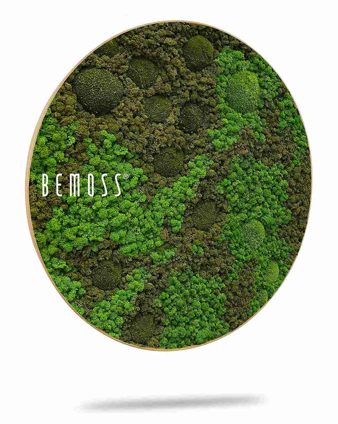 Mechový obraz kruh BEMOSS® ORTHO ASEL - Obrázek 2