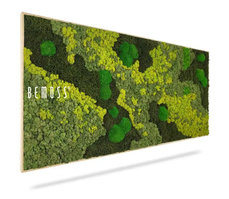 Mechový obraz BEMOSS® ORTHO LIME