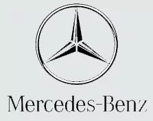 Logo mercedes benz na bílém pozadí s černobílou fotografií loga mercedes benz ve spodní části loga, mechová stěna, mechové dekorace, obraz z mechu, mechová zeď, mechovy obraz, dekorativní mech