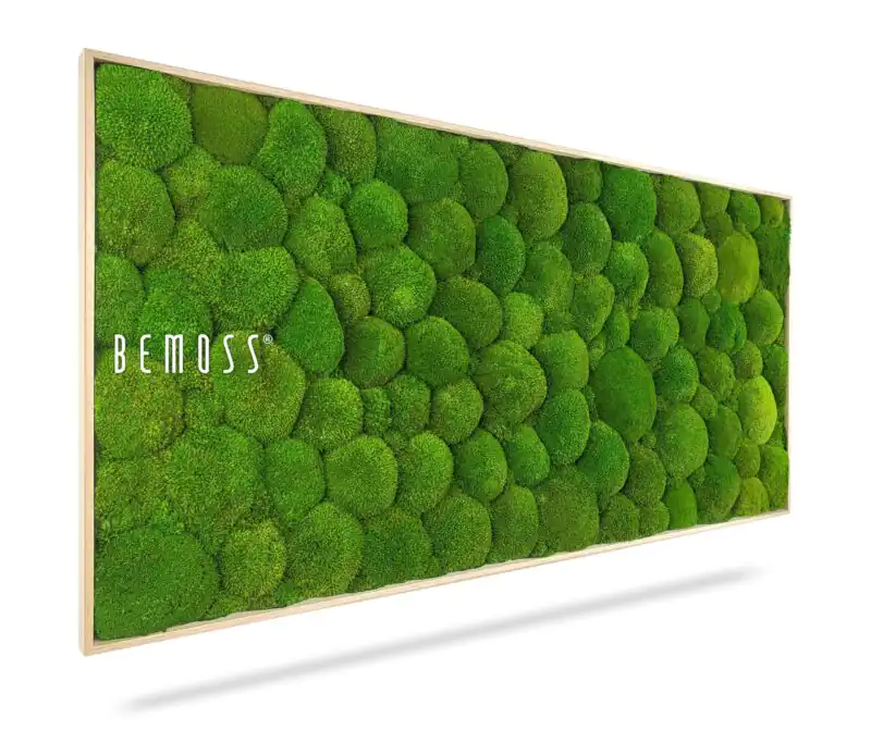 Mechový obraz BOLMOSS Light Green