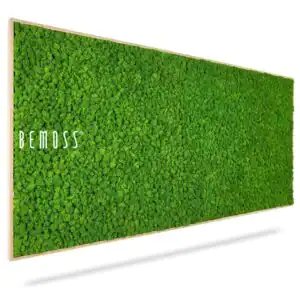 Mechový obraz LIŠEJNÍK mono