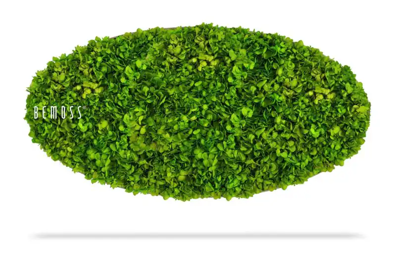 Mechový obraz Elipsa BEMOSS® MIMI