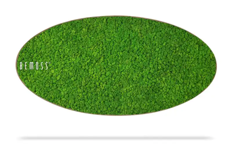 Mechový obraz Elipsa LIŠEJNÍK mono