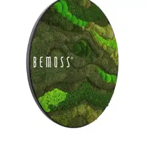 okrúhly obrázok s machom pokrytou krajinou v strede s nápisom , environmentálne umenie, machovy obraz, stabilizovany mach, machová stena, machová dekorácia