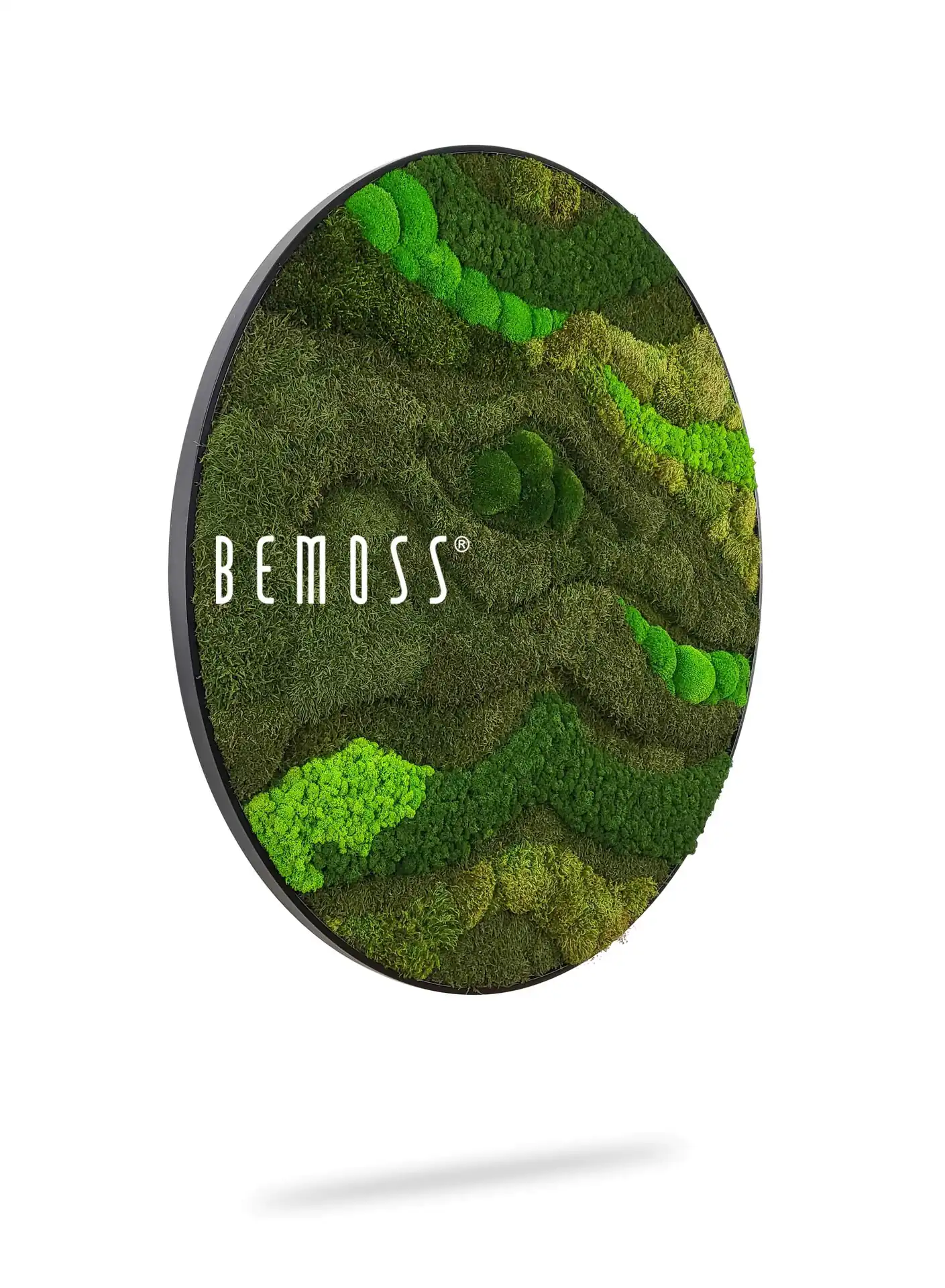 okrúhly obrázok s machom pokrytou krajinou v strede s nápisom , environmentálne umenie, machovy obraz, stabilizovany mach, machová stena, machová dekorácia