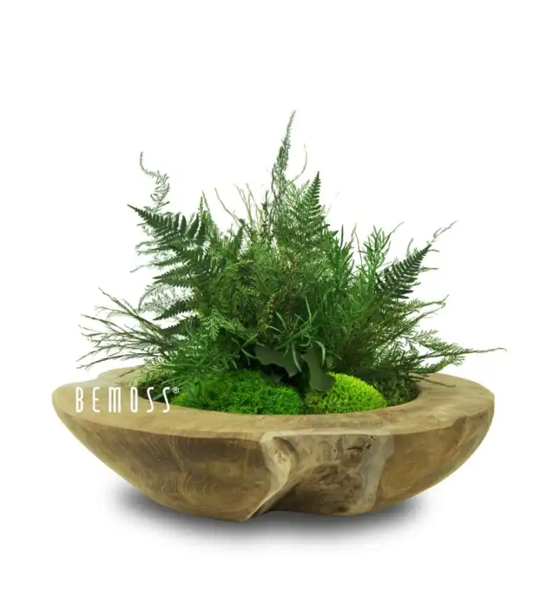 kvetináč s rastlinou na bielom pozadí so slovom pod ním, ktoré znie , environmentálne umenie, machovy obraz, stabilizovany mach, machová stena, machová dekorácia