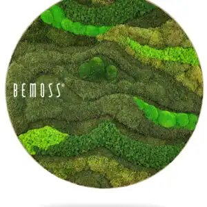 okrúhly obrázok so zelenou krajinou a slovami , environmentálne umenie, machovy obraz, stabilizovany mach, machová stena, machová dekorácia