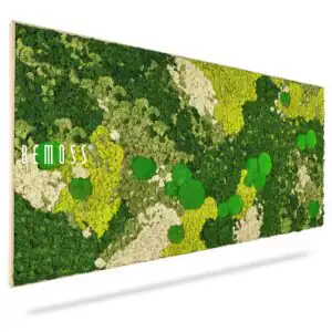 Mechový obraz BEMOSS® ORTHO SPRING