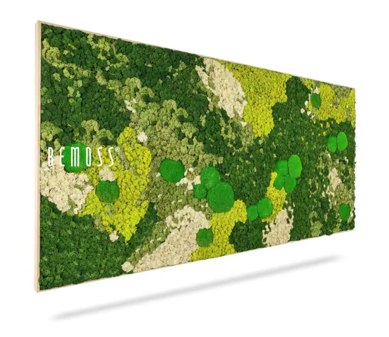 Mechový obraz BEMOSS® ORTHO SPRING
