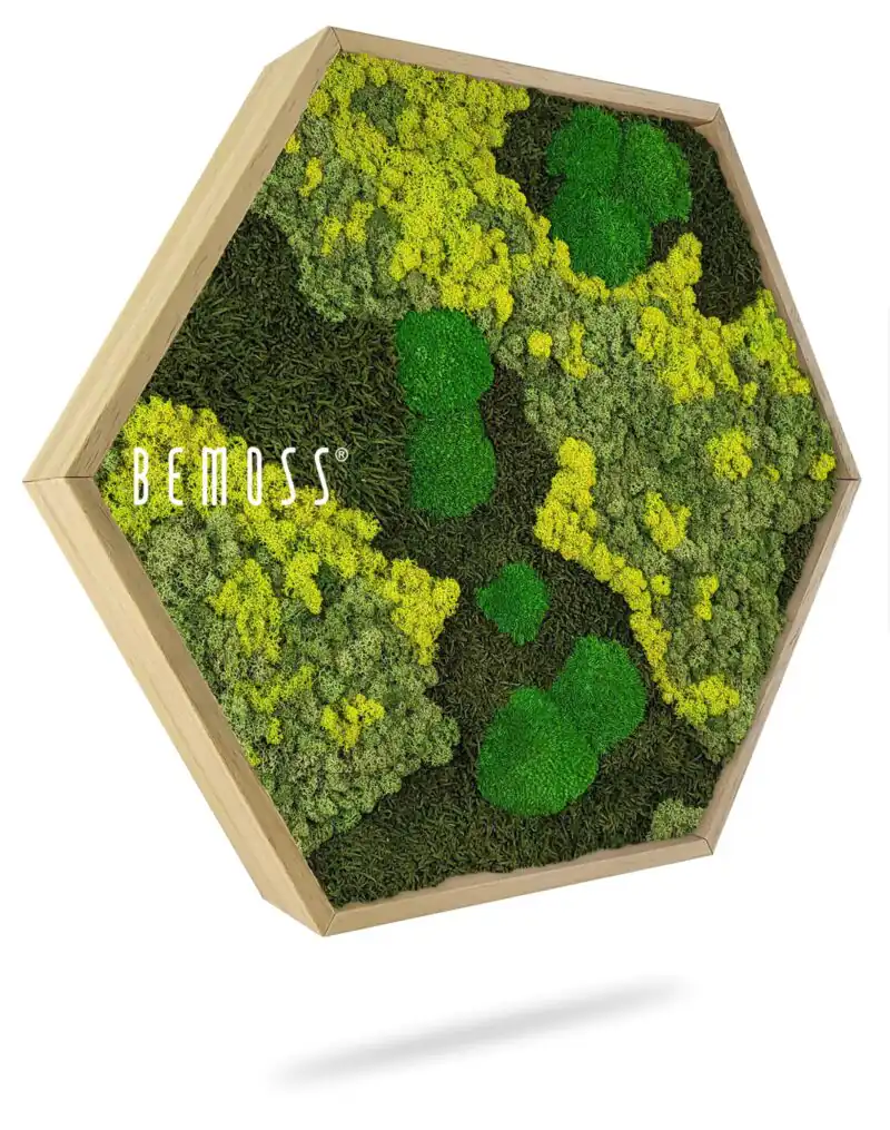Mechový Hexagon BEMOSS® ORTHO LIME