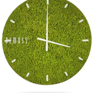 hodiny, na ktorých rastie mach, na ciferníku a ručičkách bielymi písmenami je slovo mach, ekologické umenie , machovy obraz, stabilizovany mach, machová stena, machová dekorácia