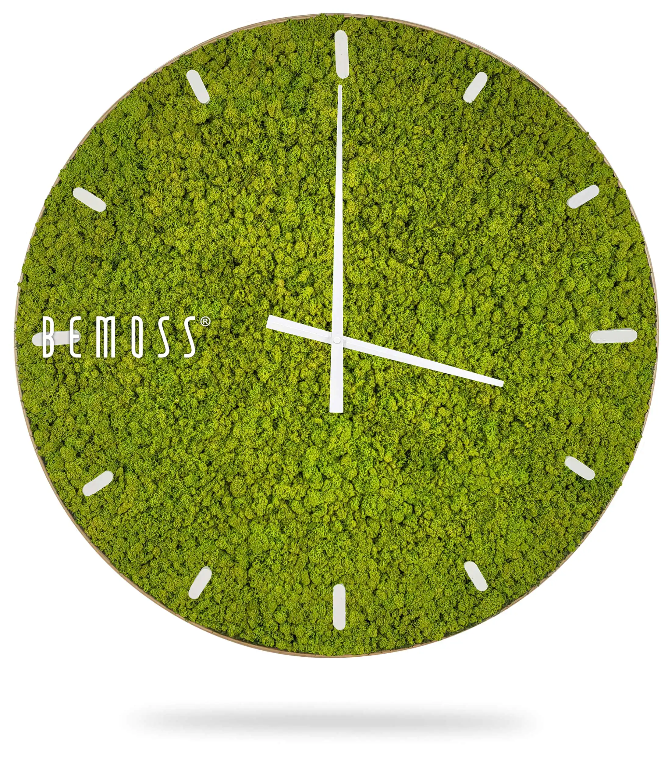 hodiny, na ktorých rastie mach, na ciferníku a ručičkách bielymi písmenami je slovo mach, ekologické umenie , machovy obraz, stabilizovany mach, machová stena, machová dekorácia