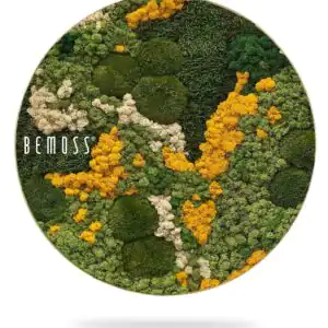 Mechový obraz kruh BEMOSS® ORTHO YELLOW