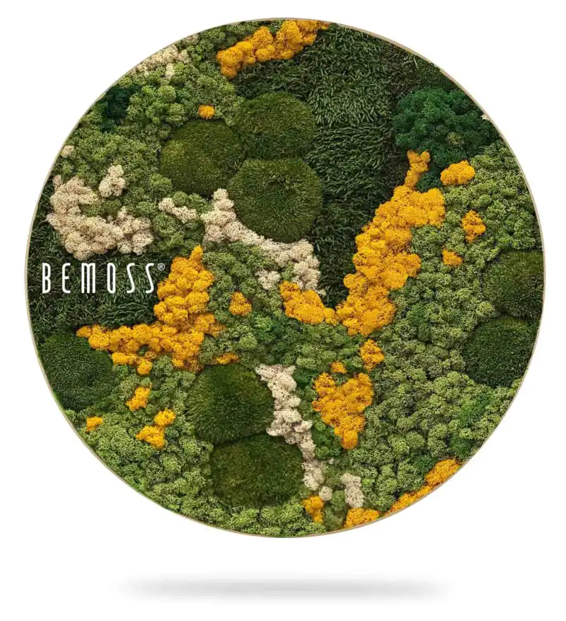 Mechový obraz kruh BEMOSS® ORTHO YELLOW