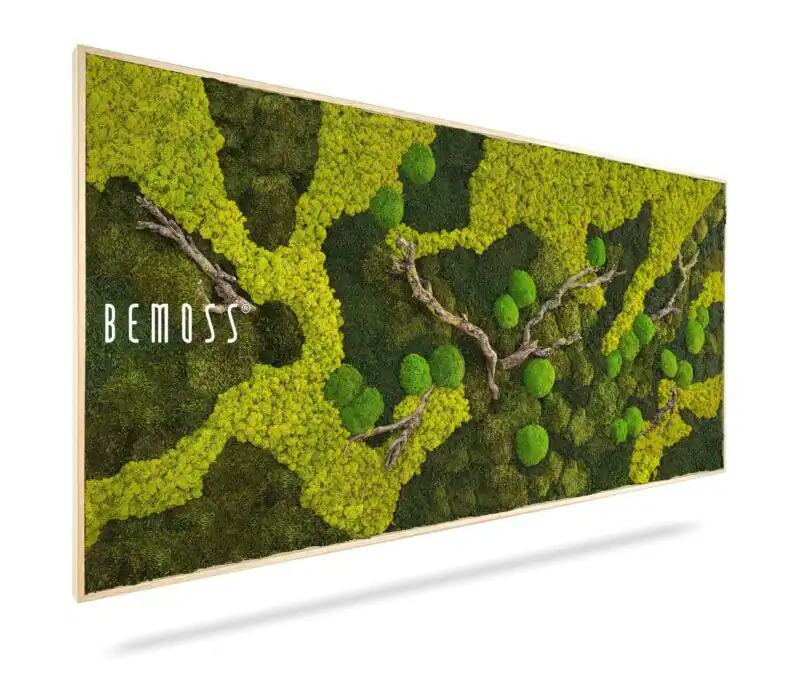 Mechový obraz BEMOSS® ORTHO BORJA