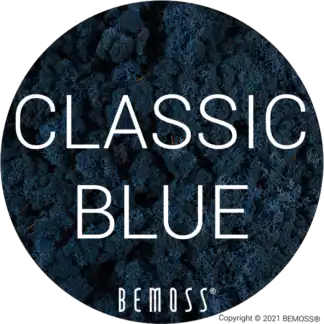84 Classic Blue