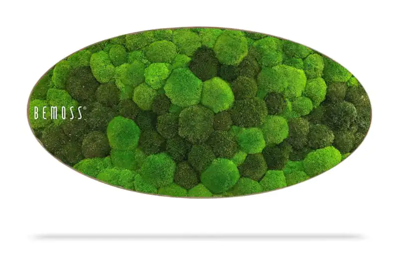 Mechový obraz Elipsa BOLMOSS DUO Light Green
