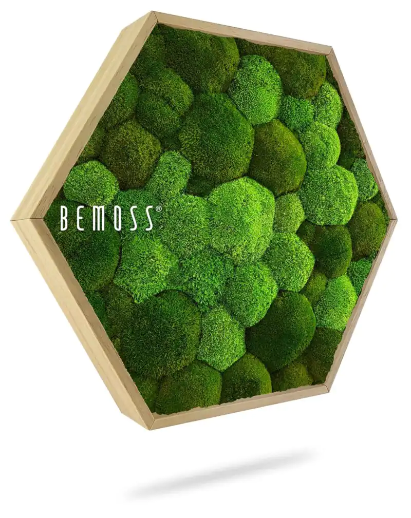 Mechový Hexagon BOLMOSS DUO Natural Green