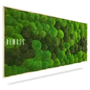 Mechový obraz BOLMOSS DUO Light Green XXL