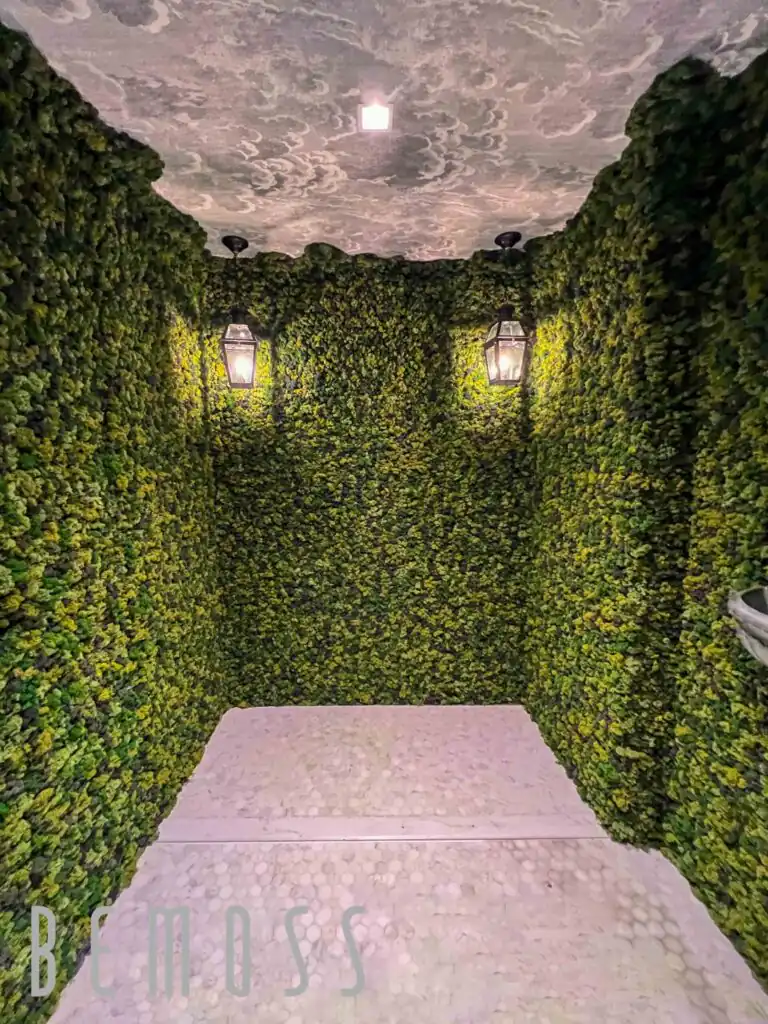 Machová stena bemoss , mach , zelené steny , interiér , celá izba