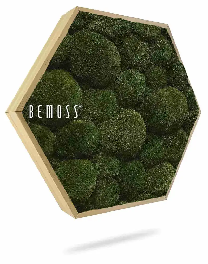 Mechový Hexagon BOLMOSS Natural green