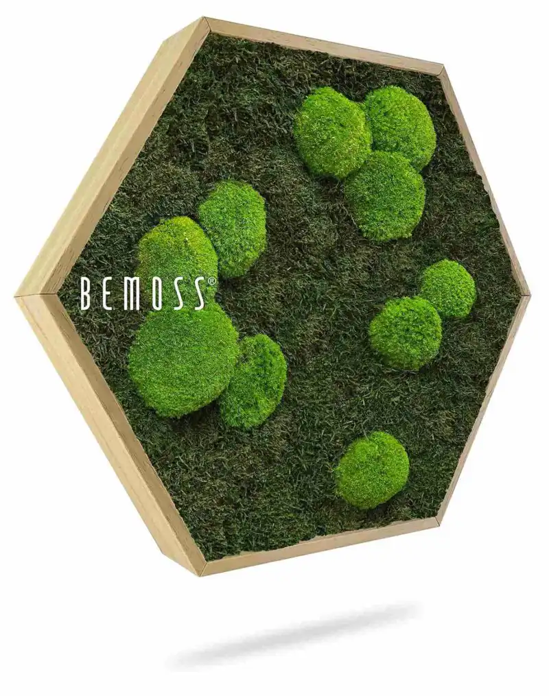 Mechový Hexagon FLATMOSS & BOLMOSS Light green