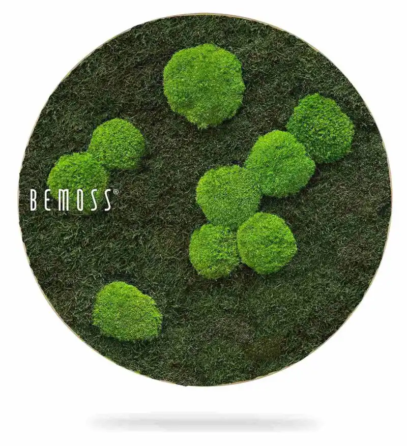 Mechový obraz kruh FLATMOSS & BOLMOSS Light Green