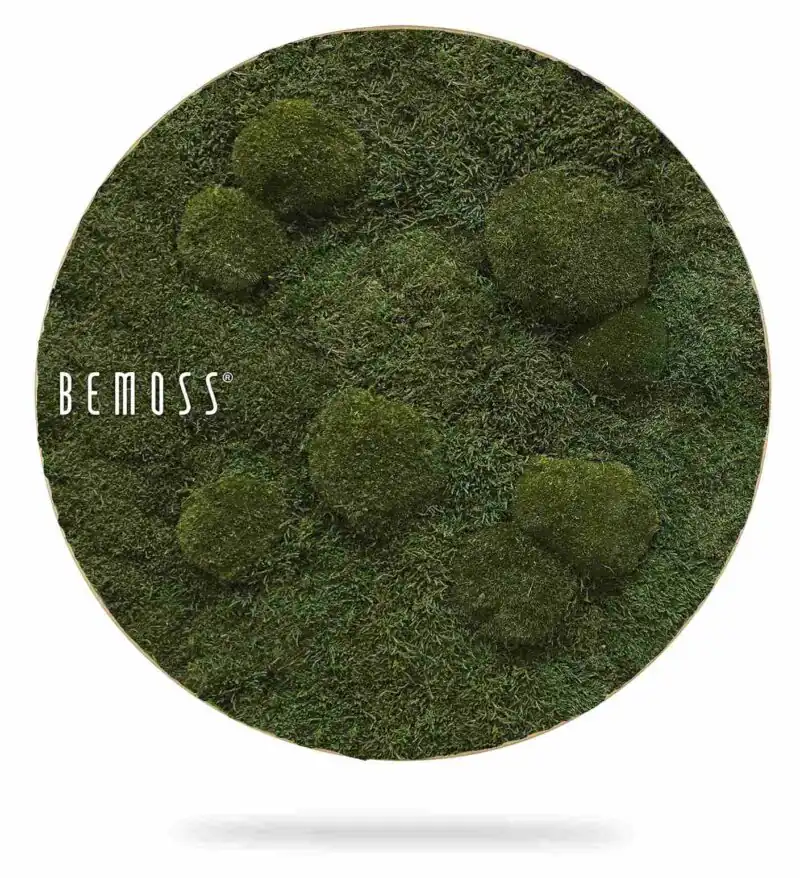 Mechový obraz kruh FLATMOSS & BOLMOSS Natural Green