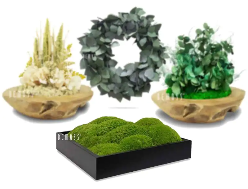 Mechové dekorace na stůl