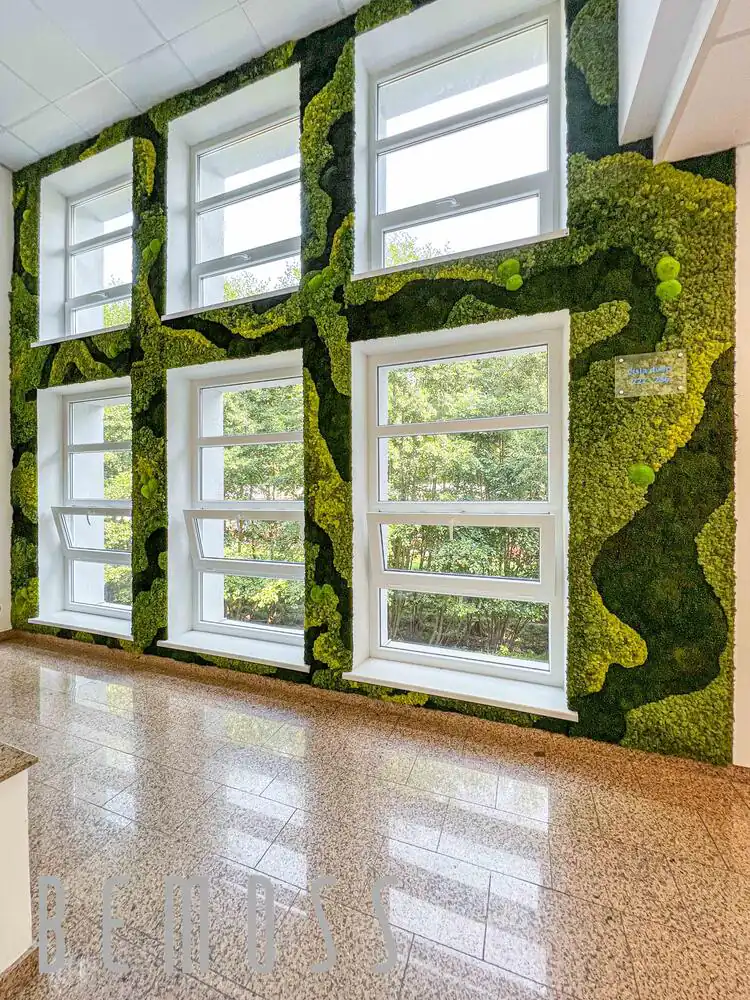 Ortho machová stena s bielymi oknami