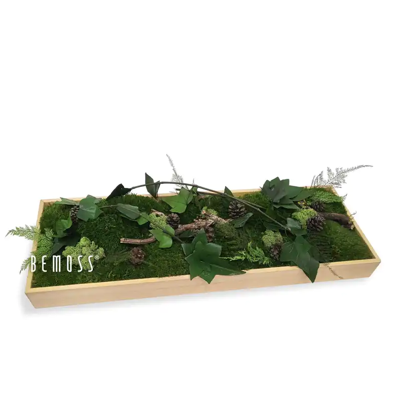 Mechová dekorace na stůl ROSTLINY Aragonia