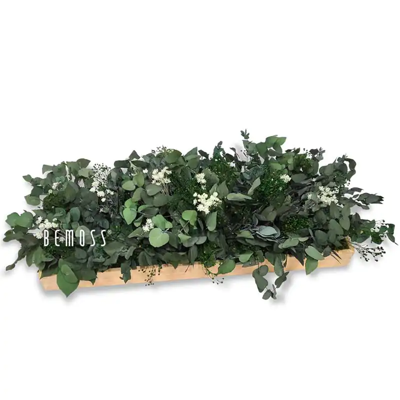 Mechová dekorace na stůl ROSTLINY Pamonia