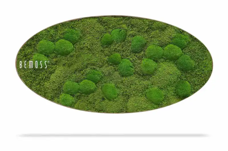 Mechový obraz Elipsa FLATMOSS & BOLMOSS Aves