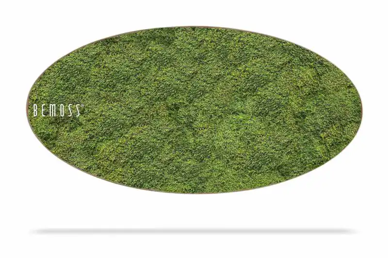Mechový obraz Elipsa FLATMOSS Light