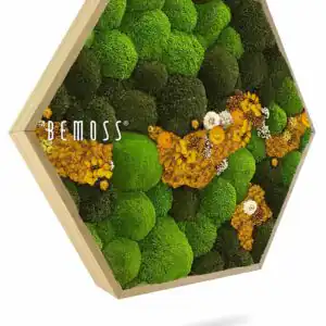 Mechový Hexagon BOLMOSS COSMO Yellow