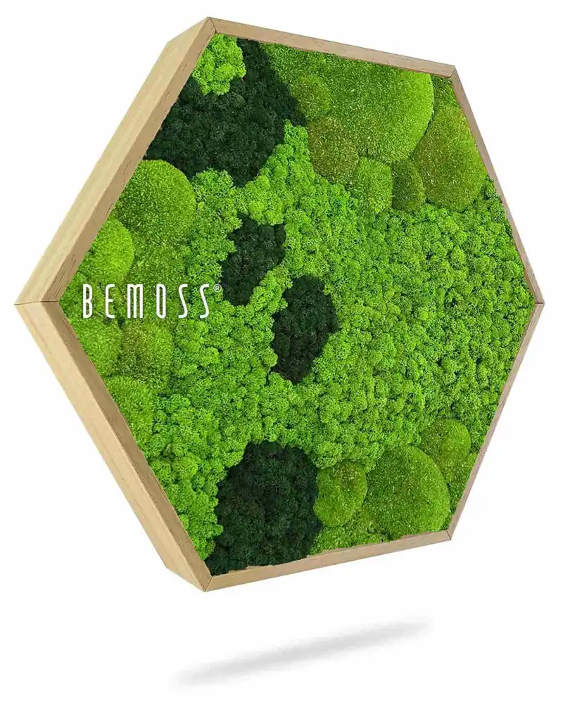 Mechový Hexagon BEMOSS® ORTHO CORCON