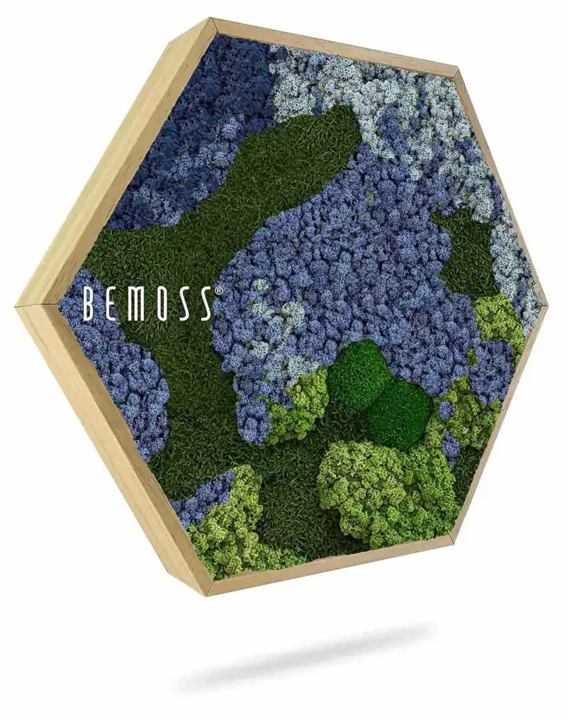 Mechový Hexagon BEMOSS® ORTHO OMBRE Blue