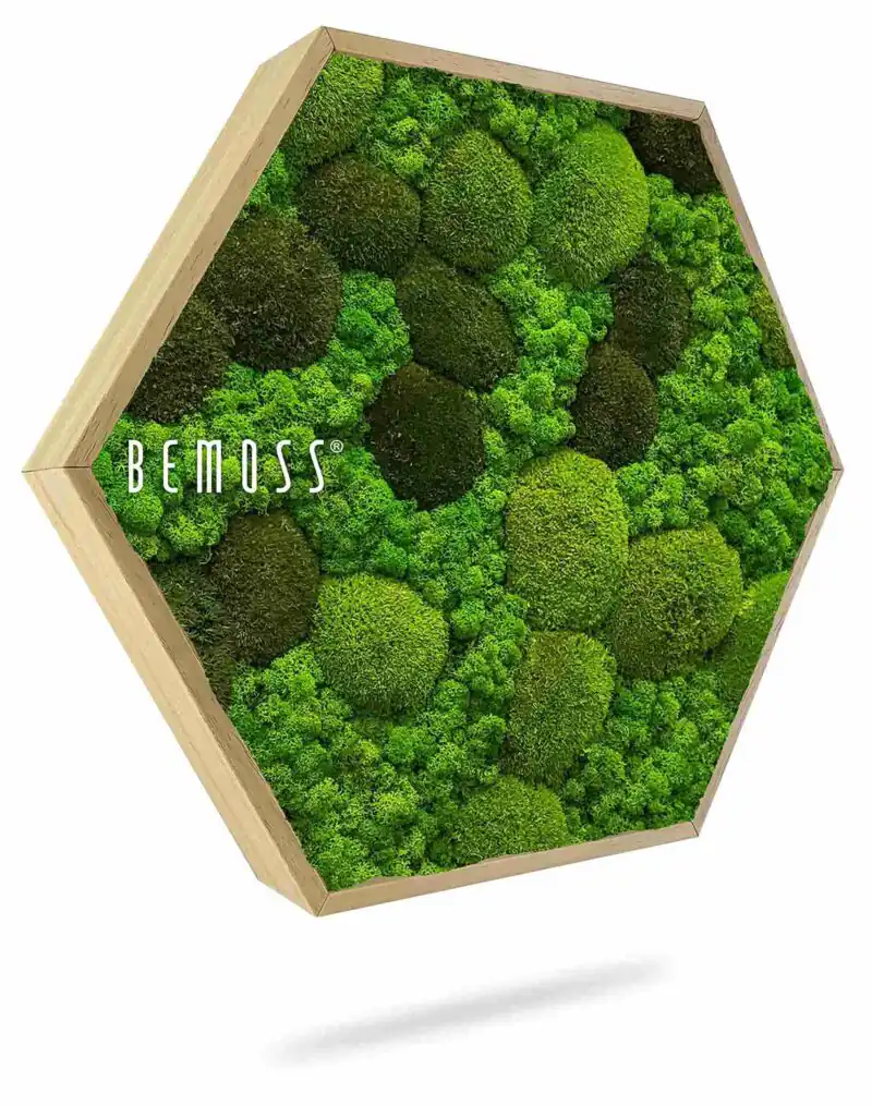 Mechový Hexagon BEMOSS® ORTHO MONETO