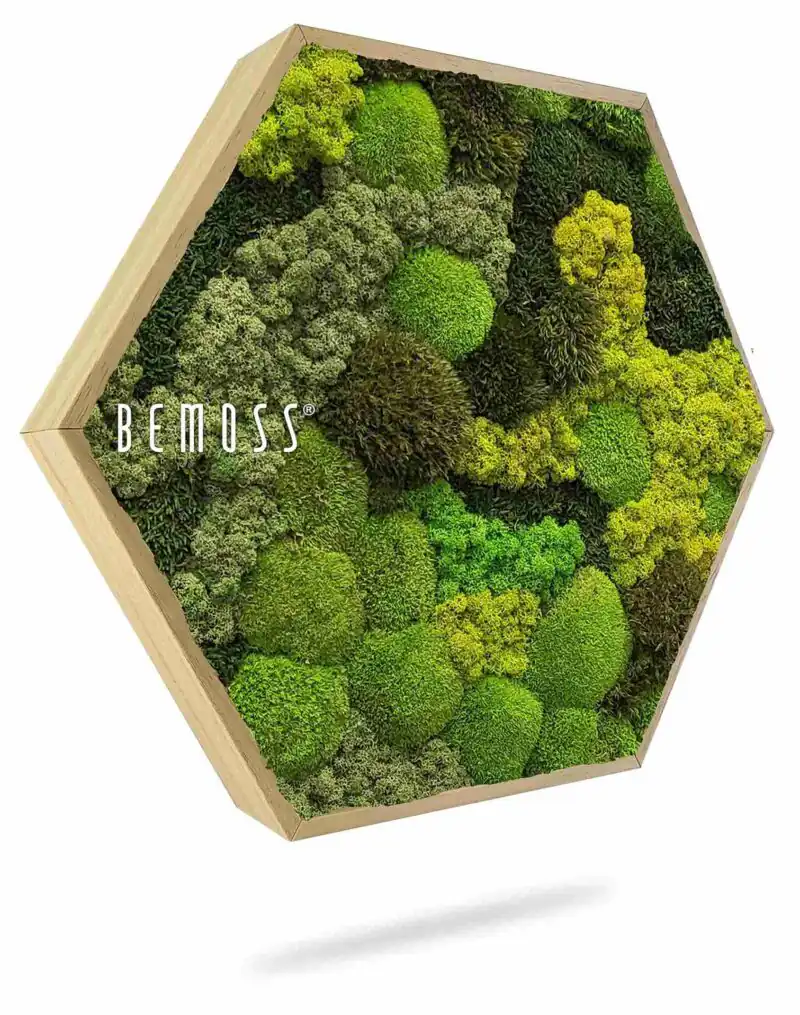 Mechový Hexagon BEMOSS® ORTHO TELDE