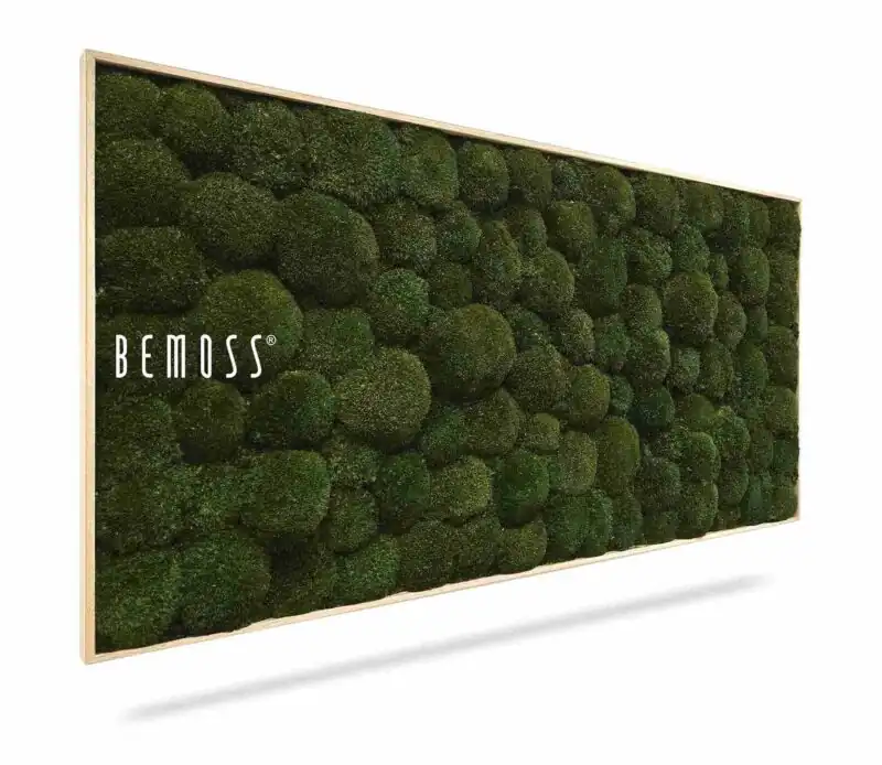 Mechový obraz BOLMOSS Natural Green