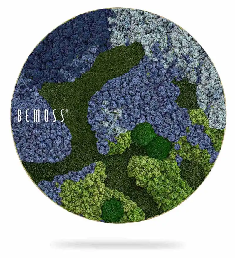 Mechový obraz kruh BEMOSS® ORTHO OMBRE Blue